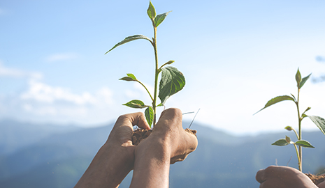 ISO 500 â€“ 2024 (Lidersan)
